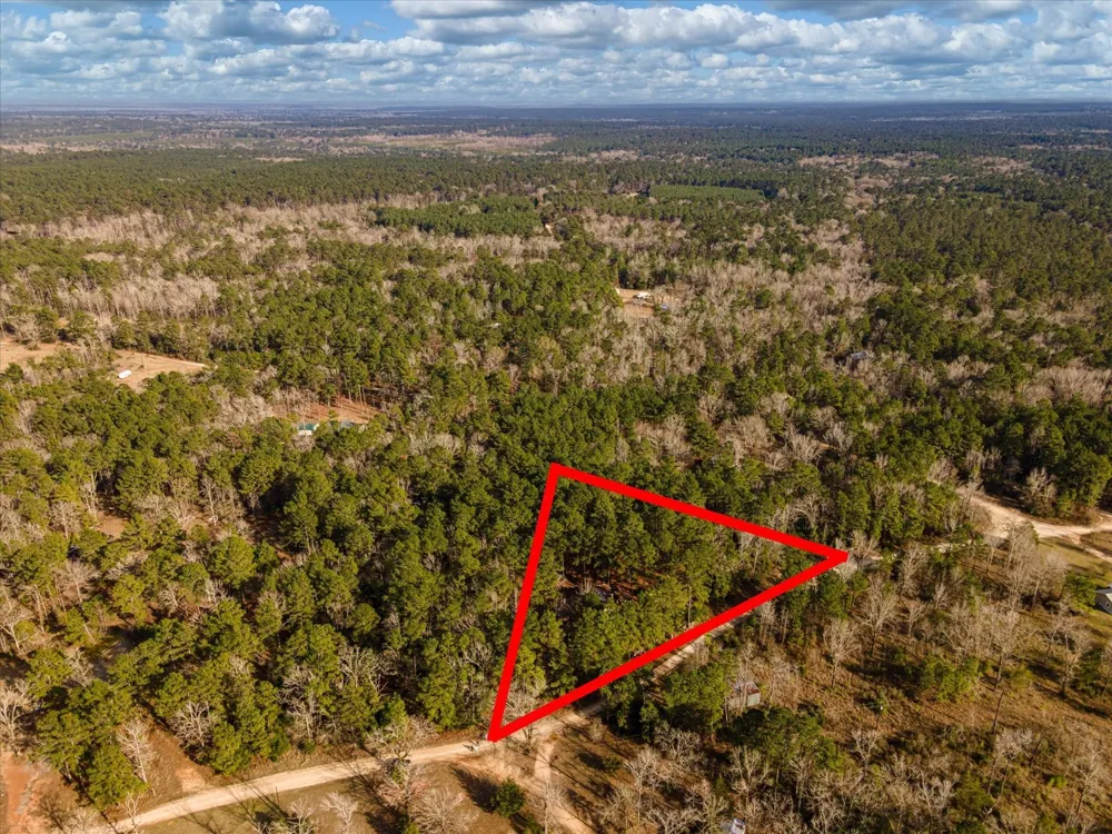 County Road 1172 Kennard, TX 75858