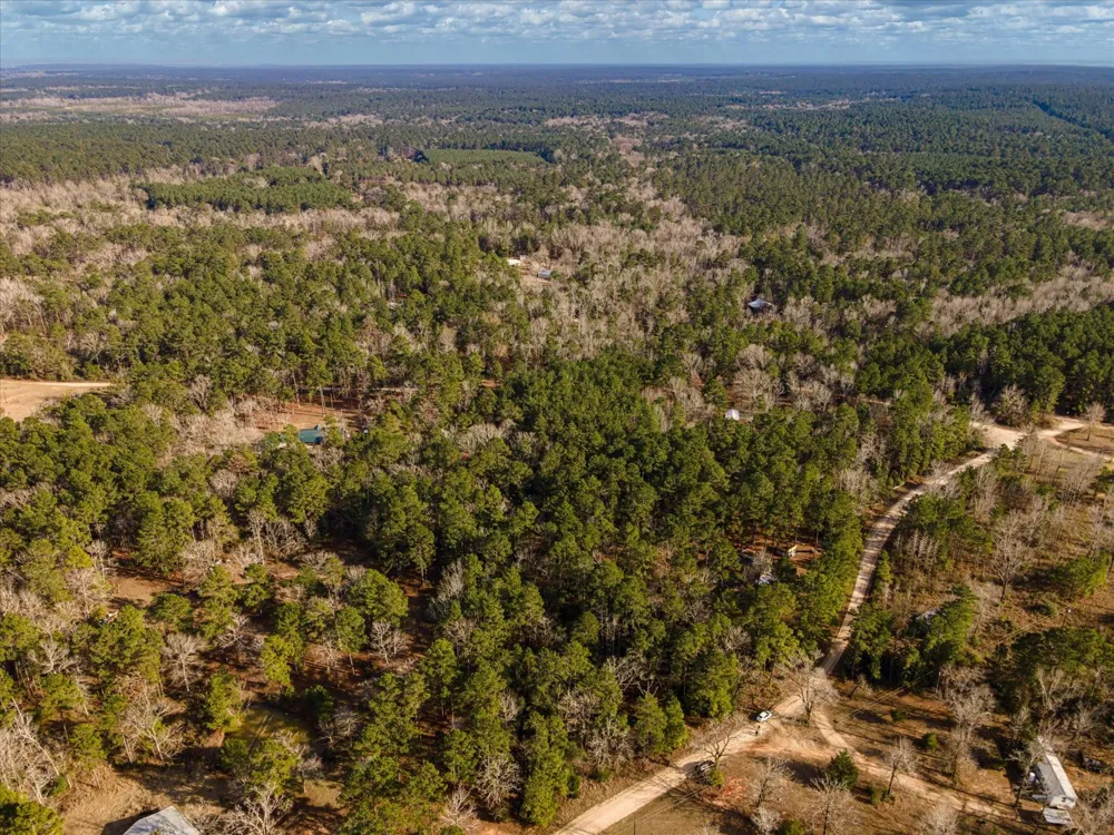 County Road 1172 Kennard, TX 75858