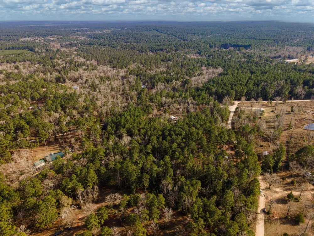 County Road 1172 Kennard, TX 75858