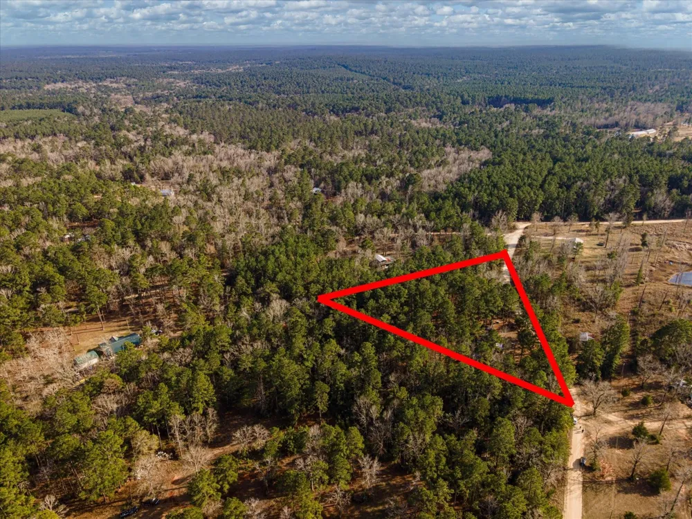 County Road 1172 Kennard, TX 75858