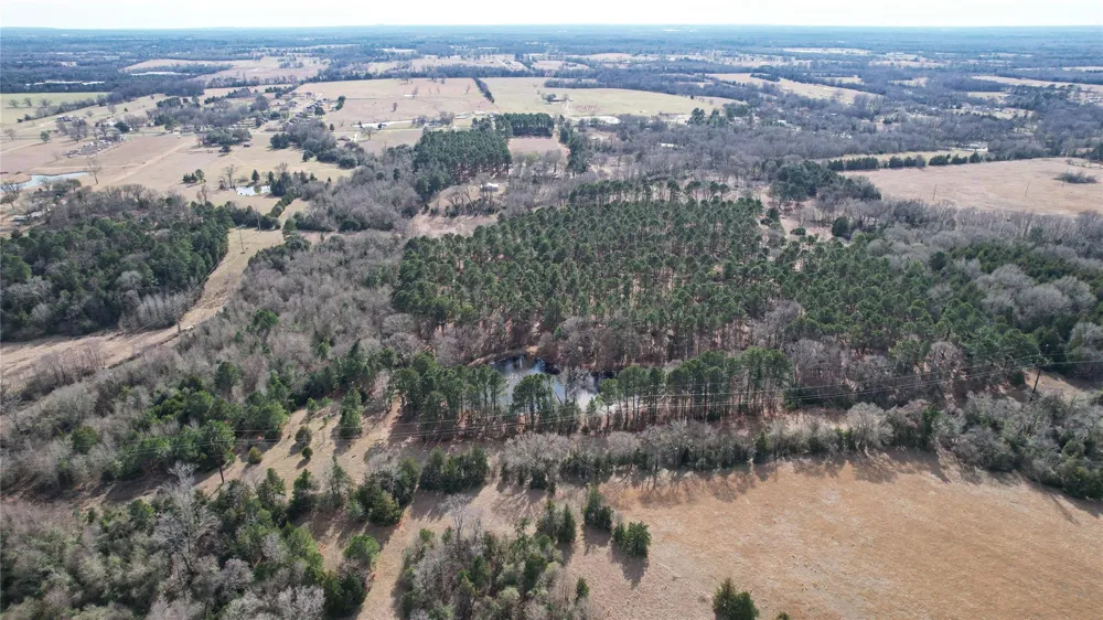 2801 State Highway 11 W Pittsburg, TX 75686