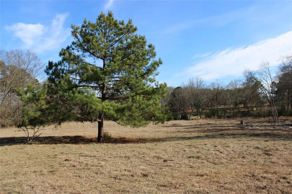2801 State Highway 11 W Pittsburg, TX 75686