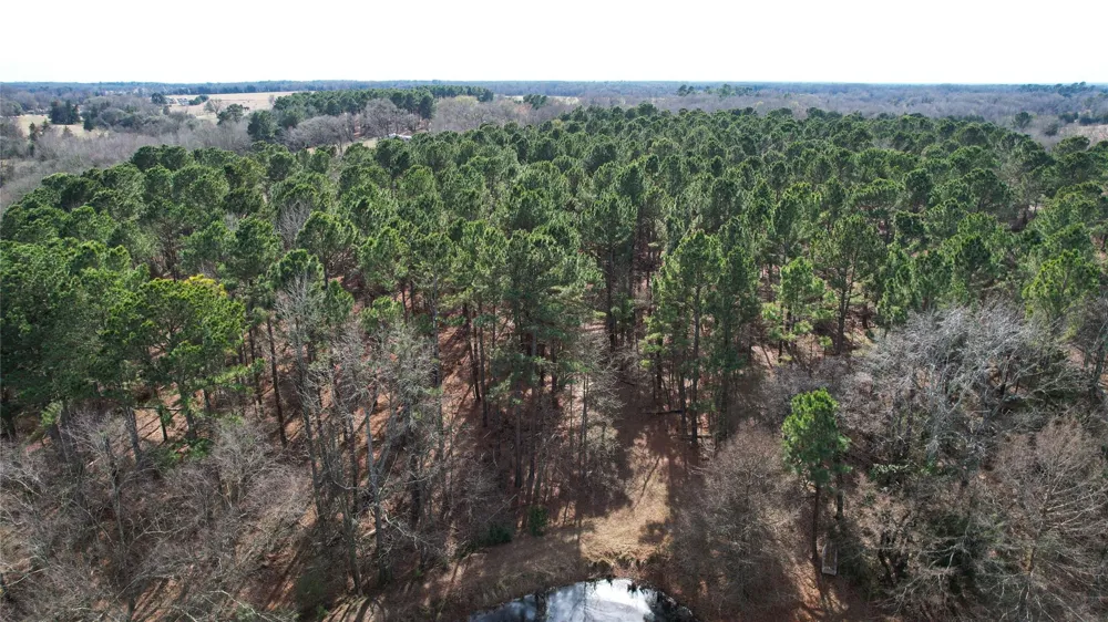 2801 State Highway 11 W Pittsburg, TX 75686