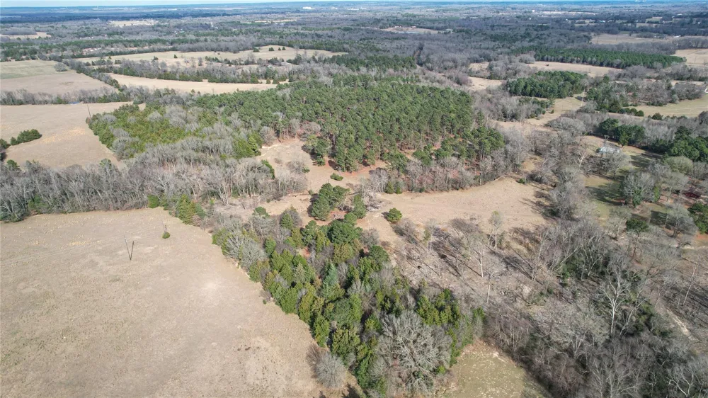 2801 State Highway 11 W Pittsburg, TX 75686