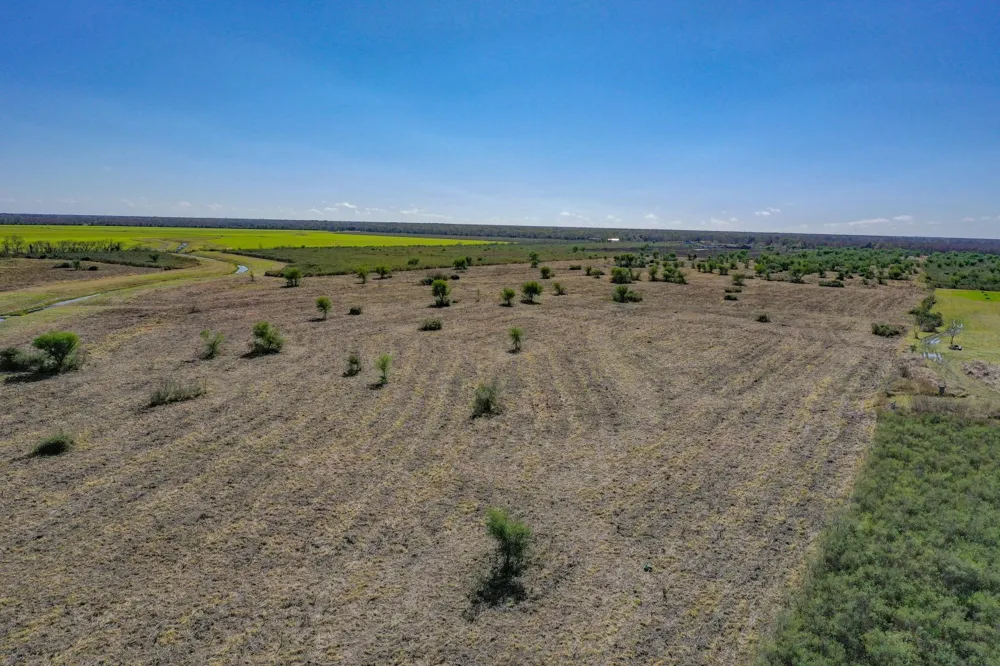 County Road 8 Guy, TX 77444