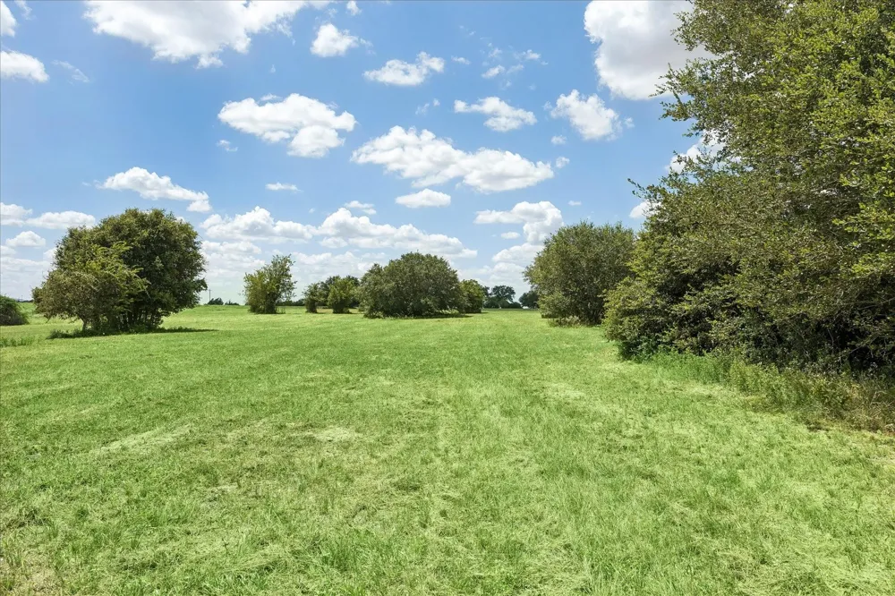 1372 Nassau Road Round Top, TX 78954