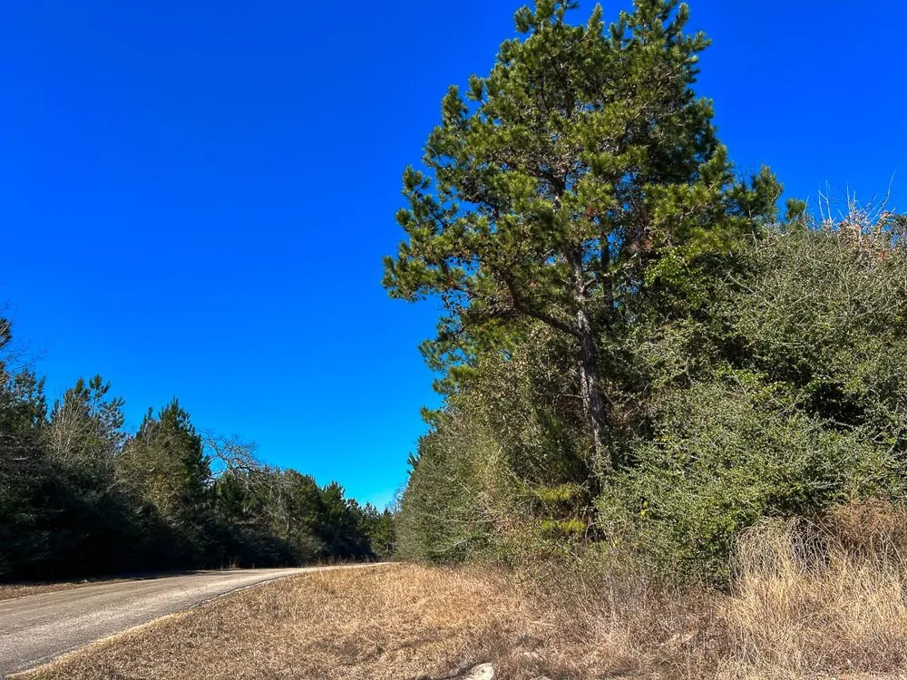 2 Cr 2140 Crockett, TX 75835