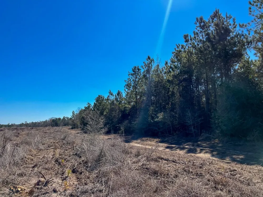2 Cr 2140 Crockett, TX 75835