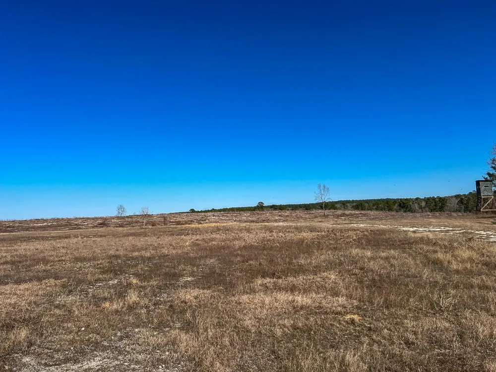 2 Cr 2140 Crockett, TX 75835
