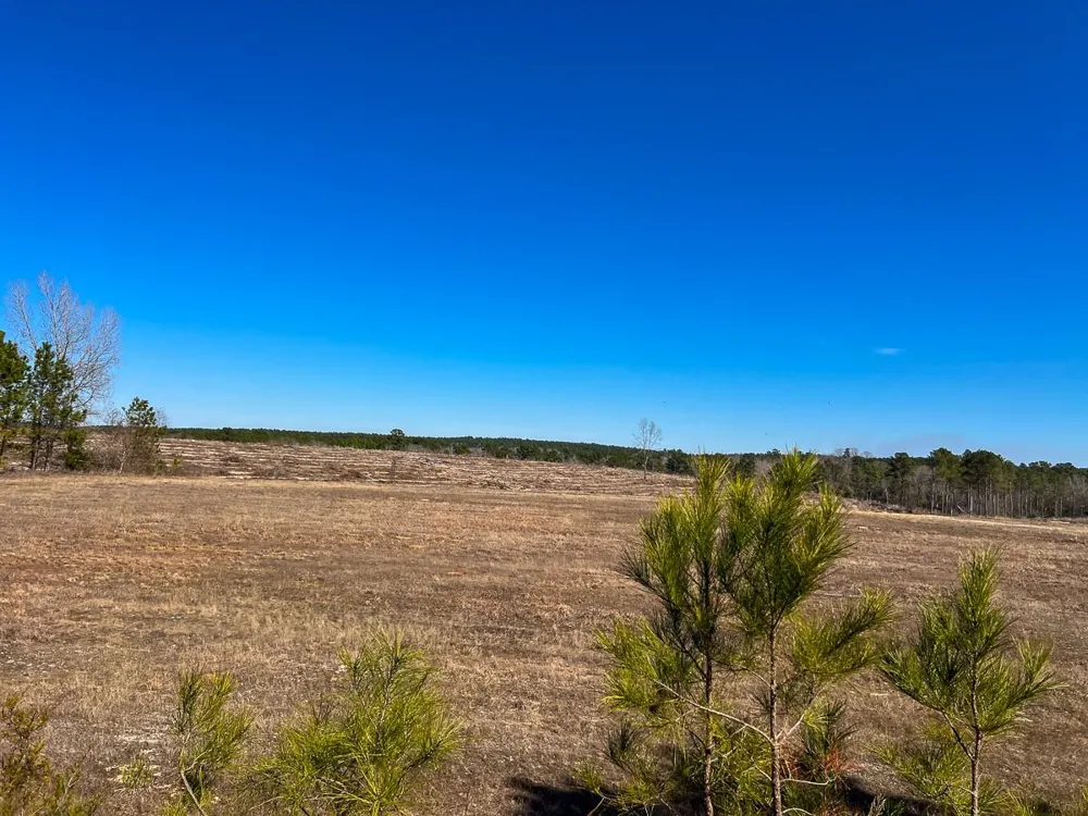 2 Cr 2140 Crockett, TX 75835