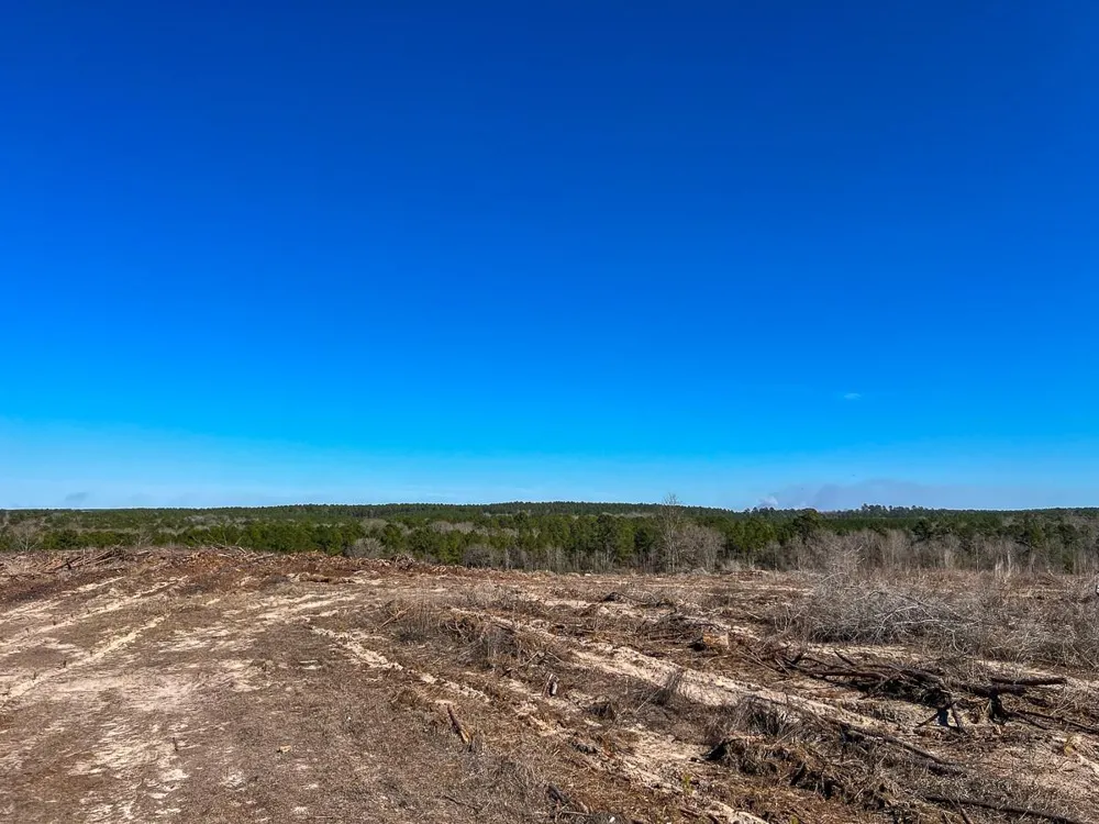 2 Cr 2140 Crockett, TX 75835