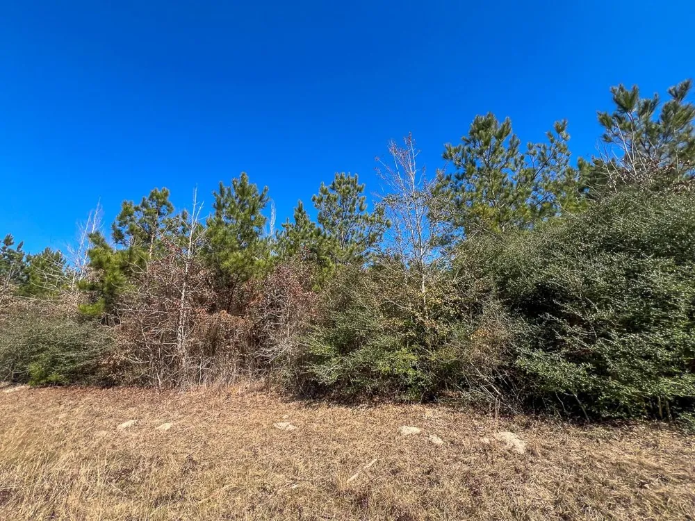 2 Cr 2140 Crockett, TX 75835