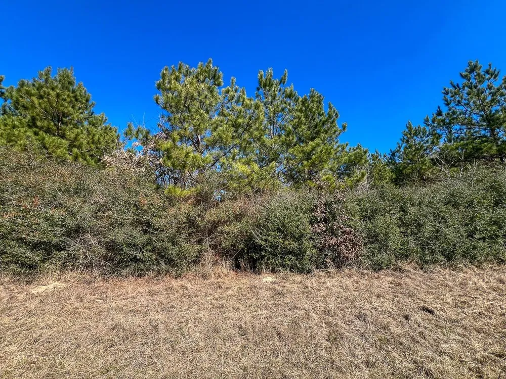 2 Cr 2140 Crockett, TX 75835