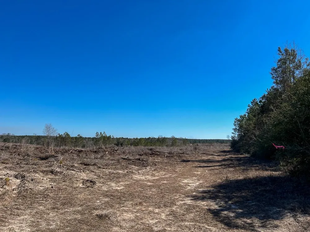 2 Cr 2140 Crockett, TX 75835