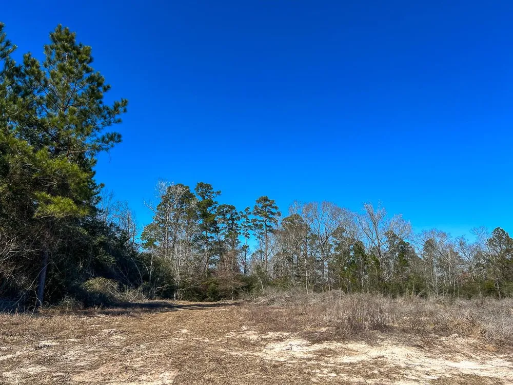 2 Cr 2140 Crockett, TX 75835