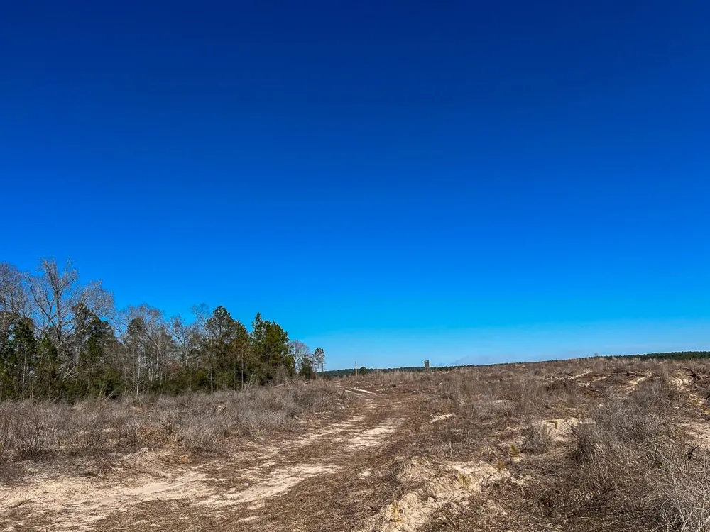 2 Cr 2140 Crockett, TX 75835