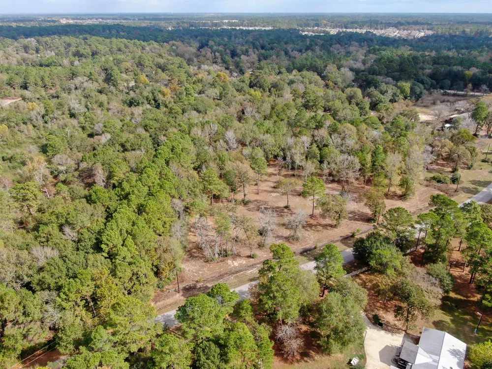 28016 Greenbriar Drive Hockley, TX 77447