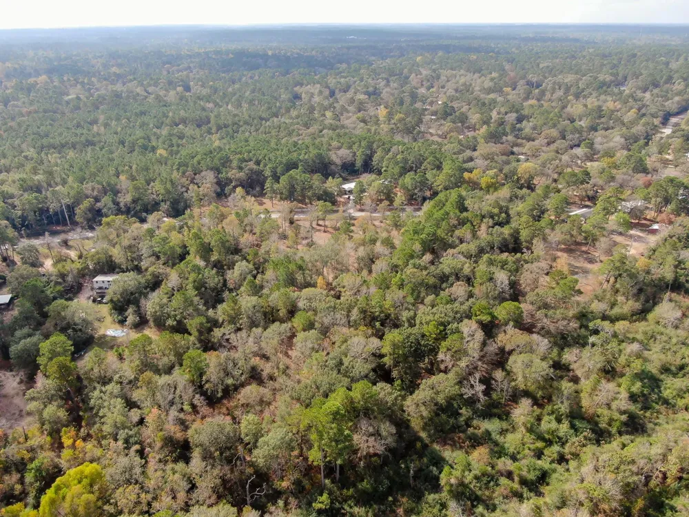 28016 Greenbriar Drive Hockley, TX 77447