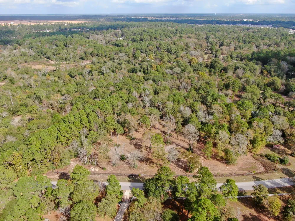 28016 Greenbriar Drive Hockley, TX 77447