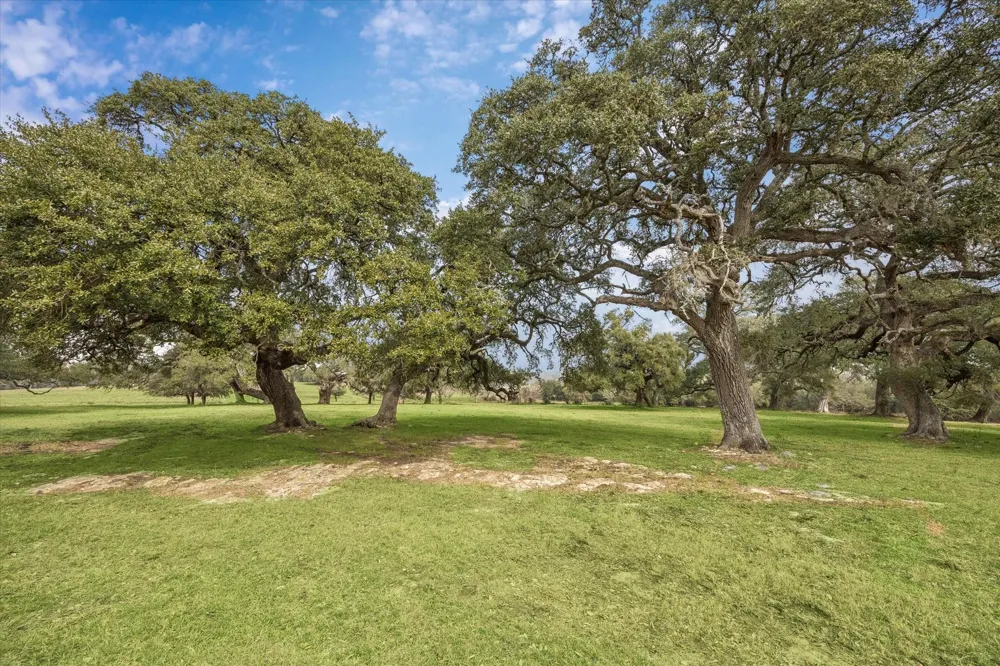 6602 Fm 390 West Burton, TX 77835