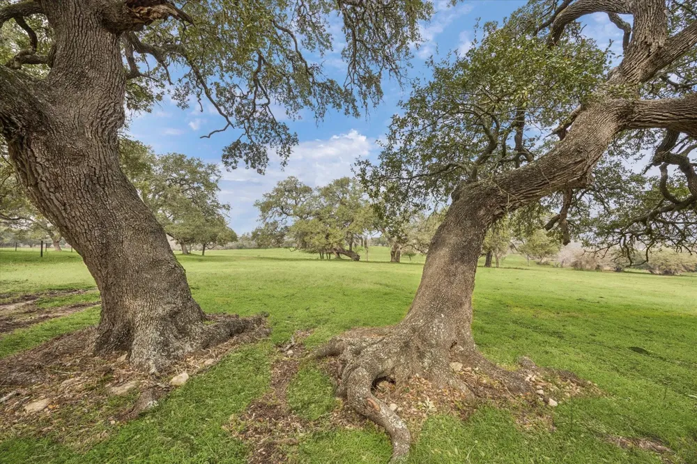 6602 Fm 390 West Burton, TX 77835
