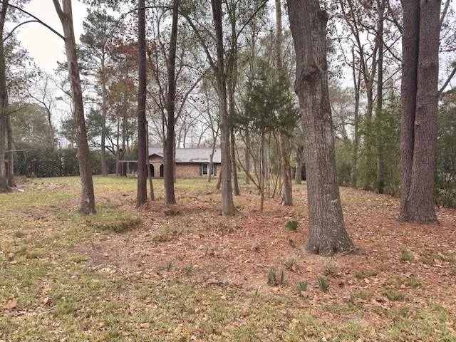 2022 Pecan Street Katy, TX 77494