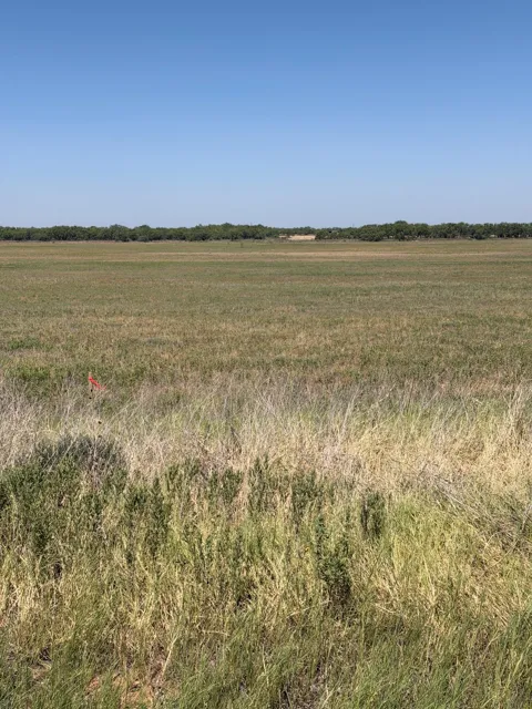 County Road 497