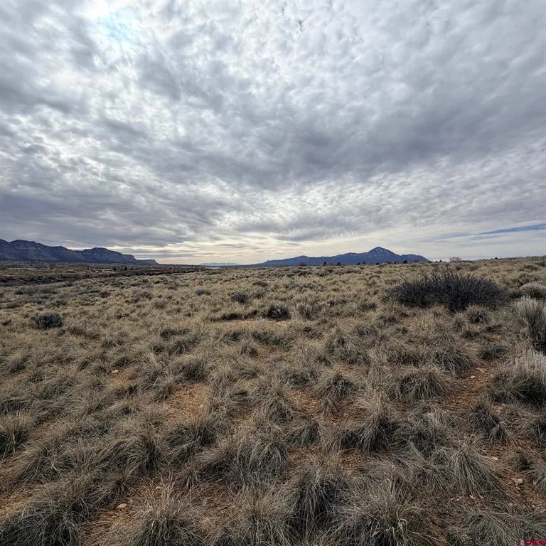 129 Nicholette Way Cortez, CO 81321