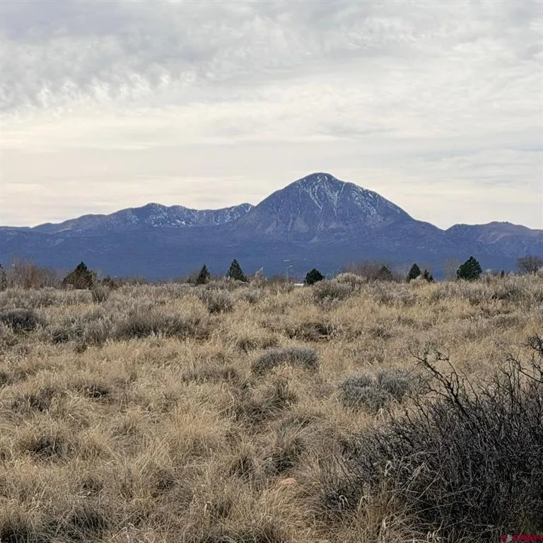 129 Nicholette Way Cortez, CO 81321