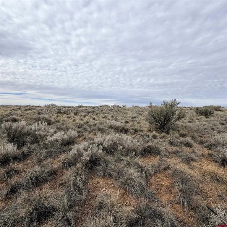 129 Nicholette Way Cortez, CO 81321
