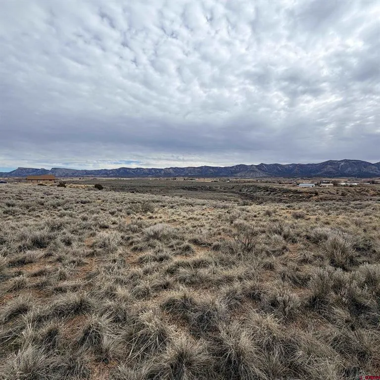 129 Nicholette Way Cortez, CO 81321