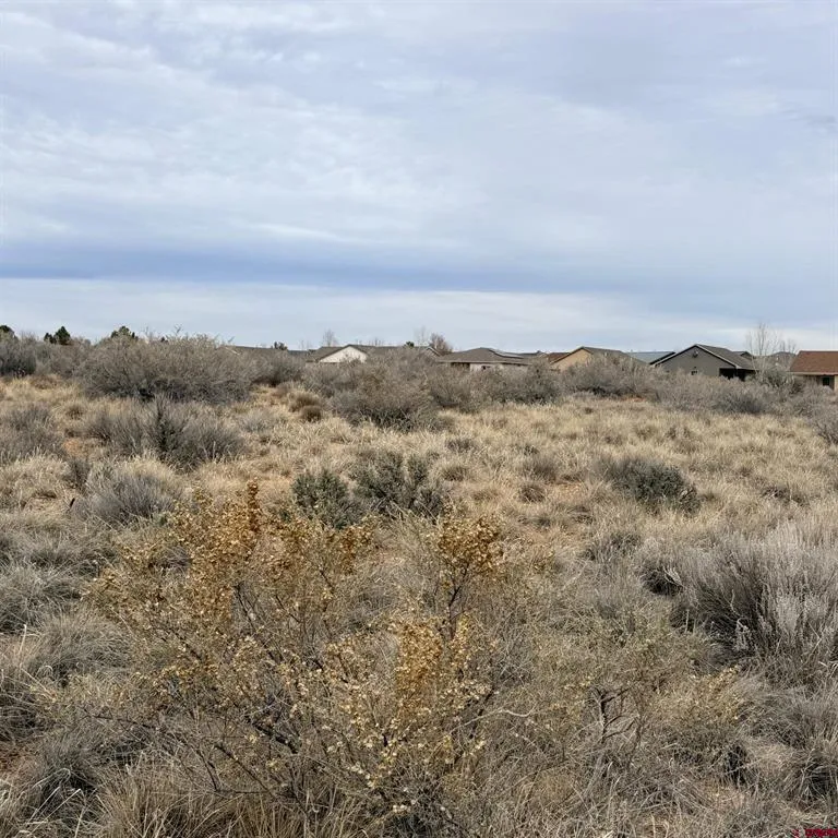 129 Nicholette Way Cortez, CO 81321