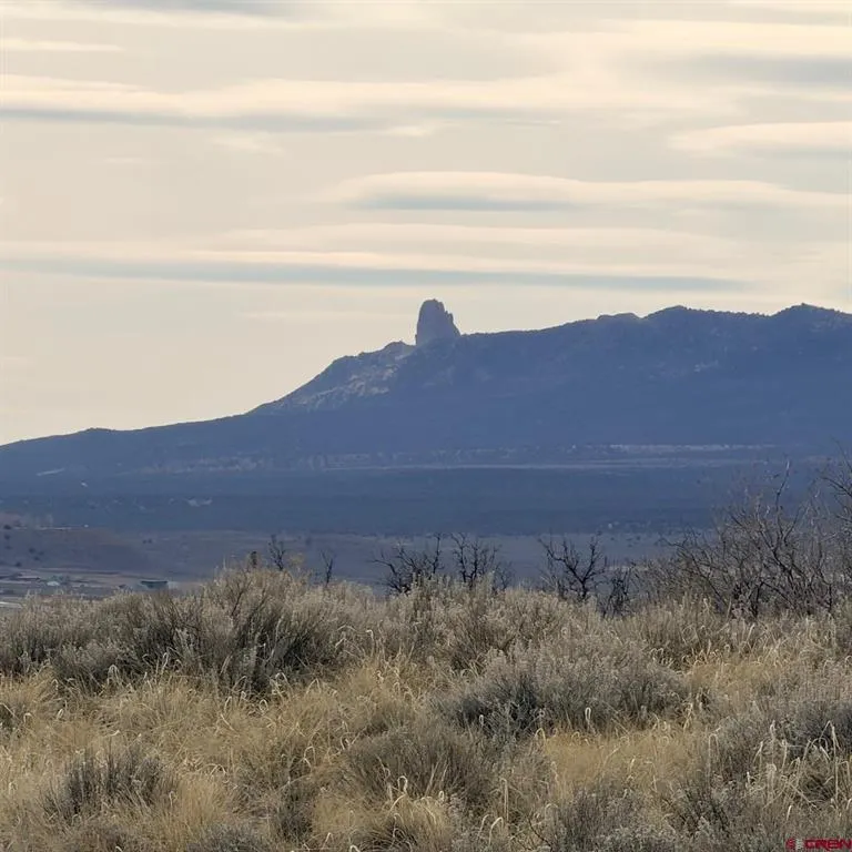 129 Nicholette Way Cortez, CO 81321