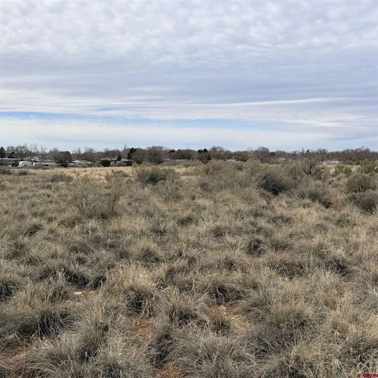 129 Nicholette Way Cortez, CO 81321