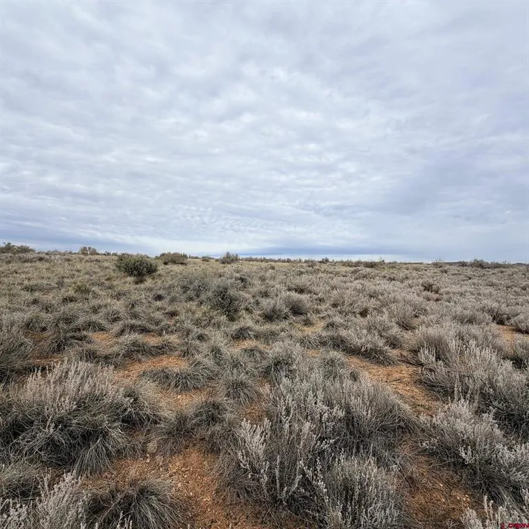 129 Nicholette Way Cortez, CO 81321