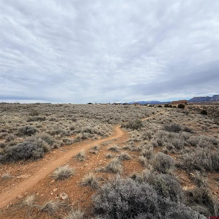 129 Nicholette Way Cortez, CO 81321
