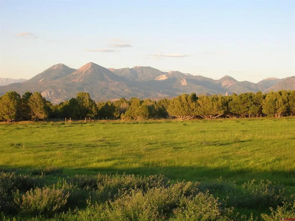 678 3375 ROAD Crawford, CO 81415