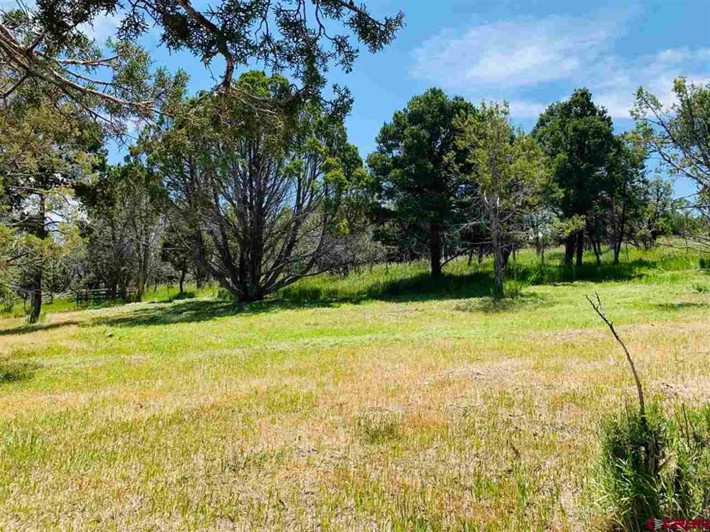 678 3375 ROAD Crawford, CO 81415