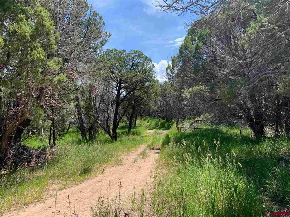 678 3375 ROAD Crawford, CO 81415