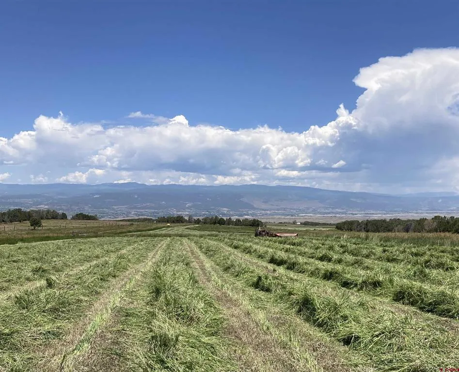 678 3375 ROAD Crawford, CO 81415