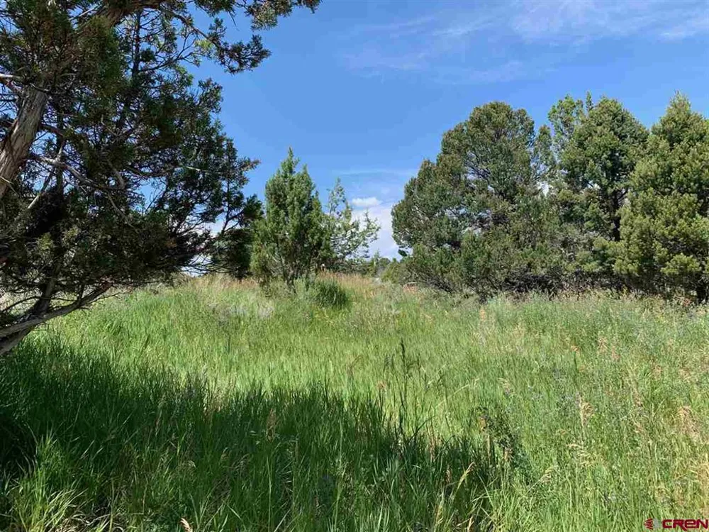 678 3375 ROAD Crawford, CO 81415