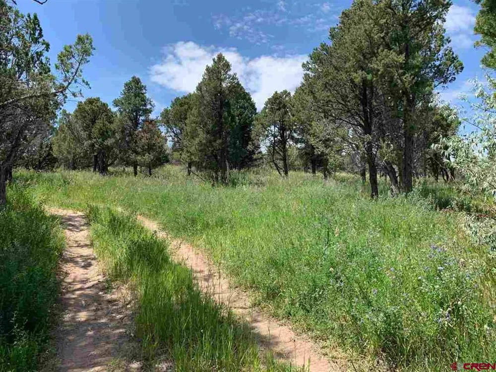 678 3375 ROAD Crawford, CO 81415