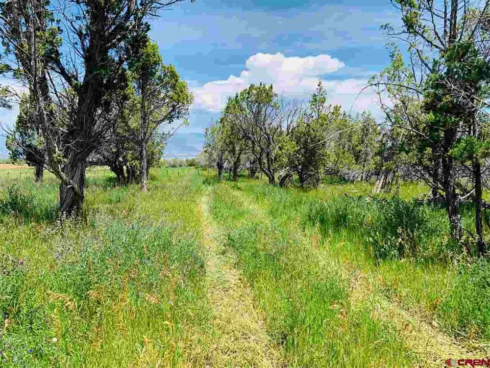 678 3375 ROAD Crawford, CO 81415