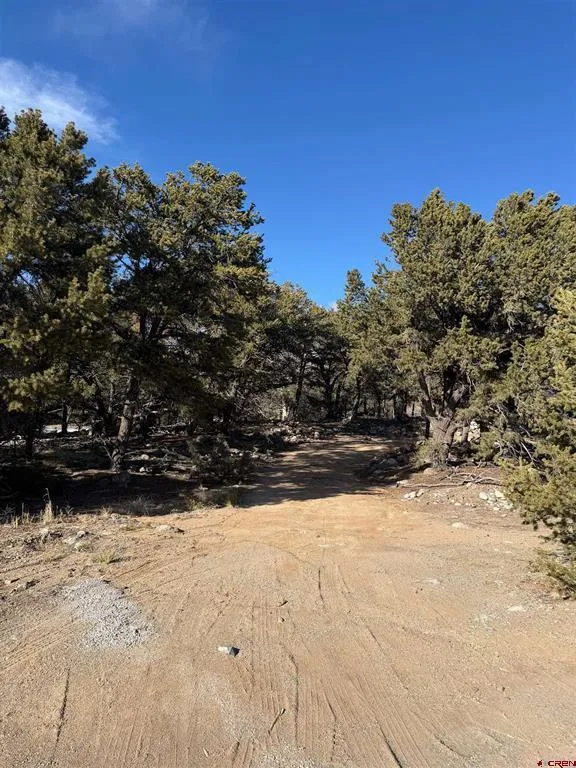 3899 Rarity Way Crestone, CO 81131