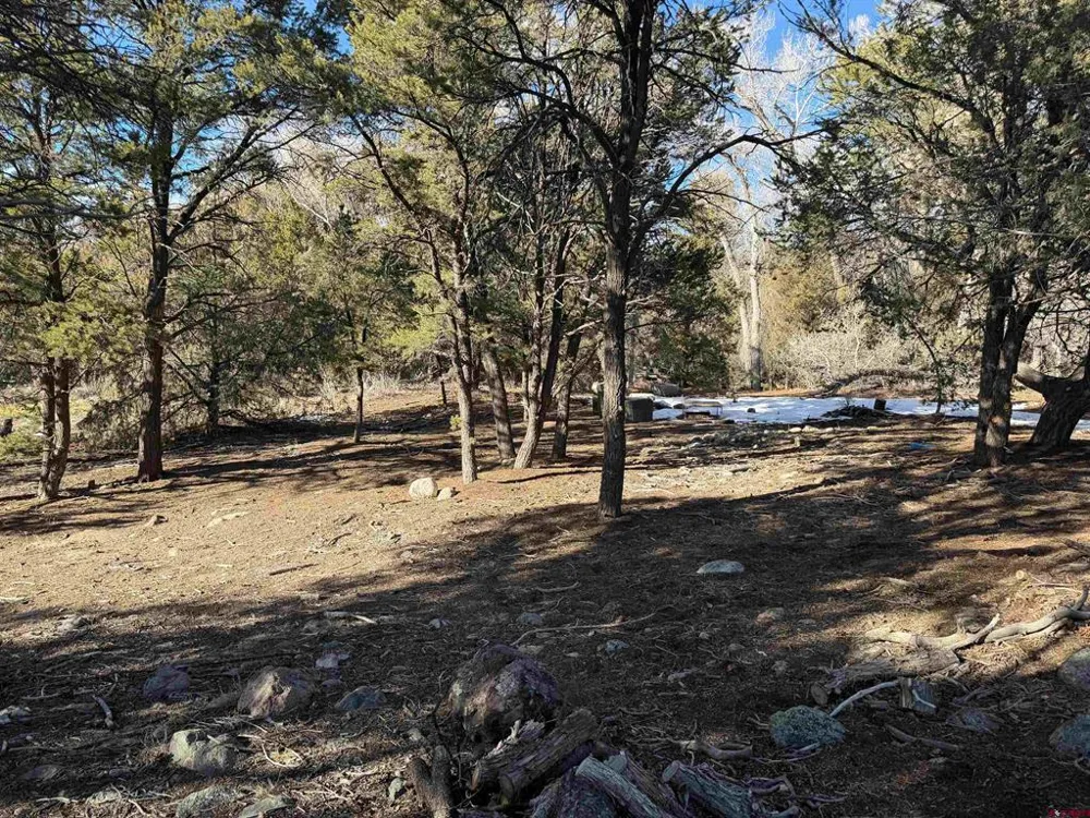 3899 Rarity Way Crestone, CO 81131