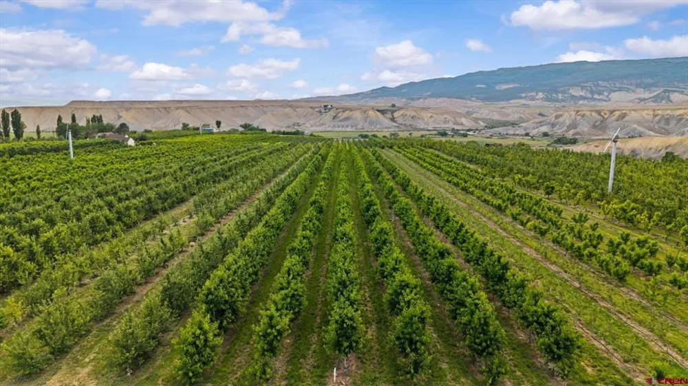 20813 Nowhere Road Eckert, CO 81418