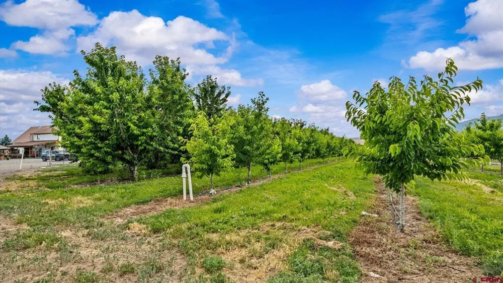 20813 Nowhere Road Eckert, CO 81418