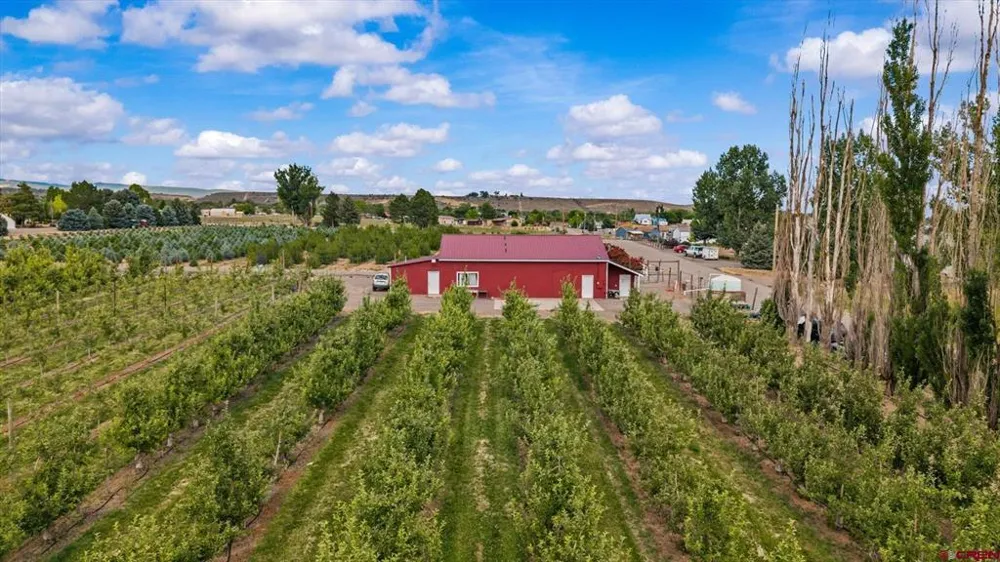 20813 Nowhere Road Eckert, CO 81418