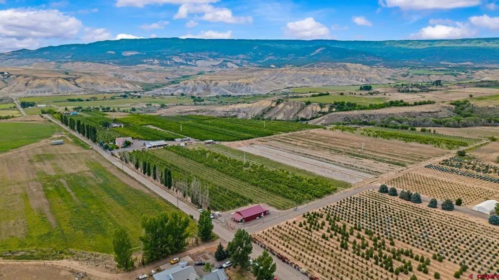 20813 Nowhere Road Eckert, CO 81418