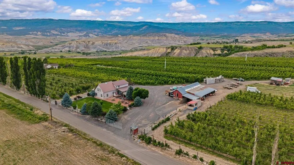 20813 Nowhere Road Eckert, CO 81418